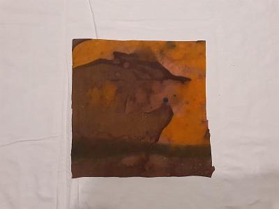 batik bau (41)